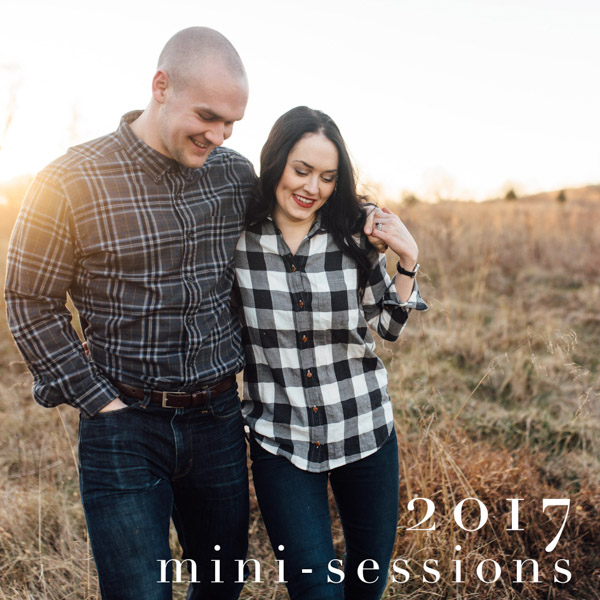 2017 Mini-Sessions