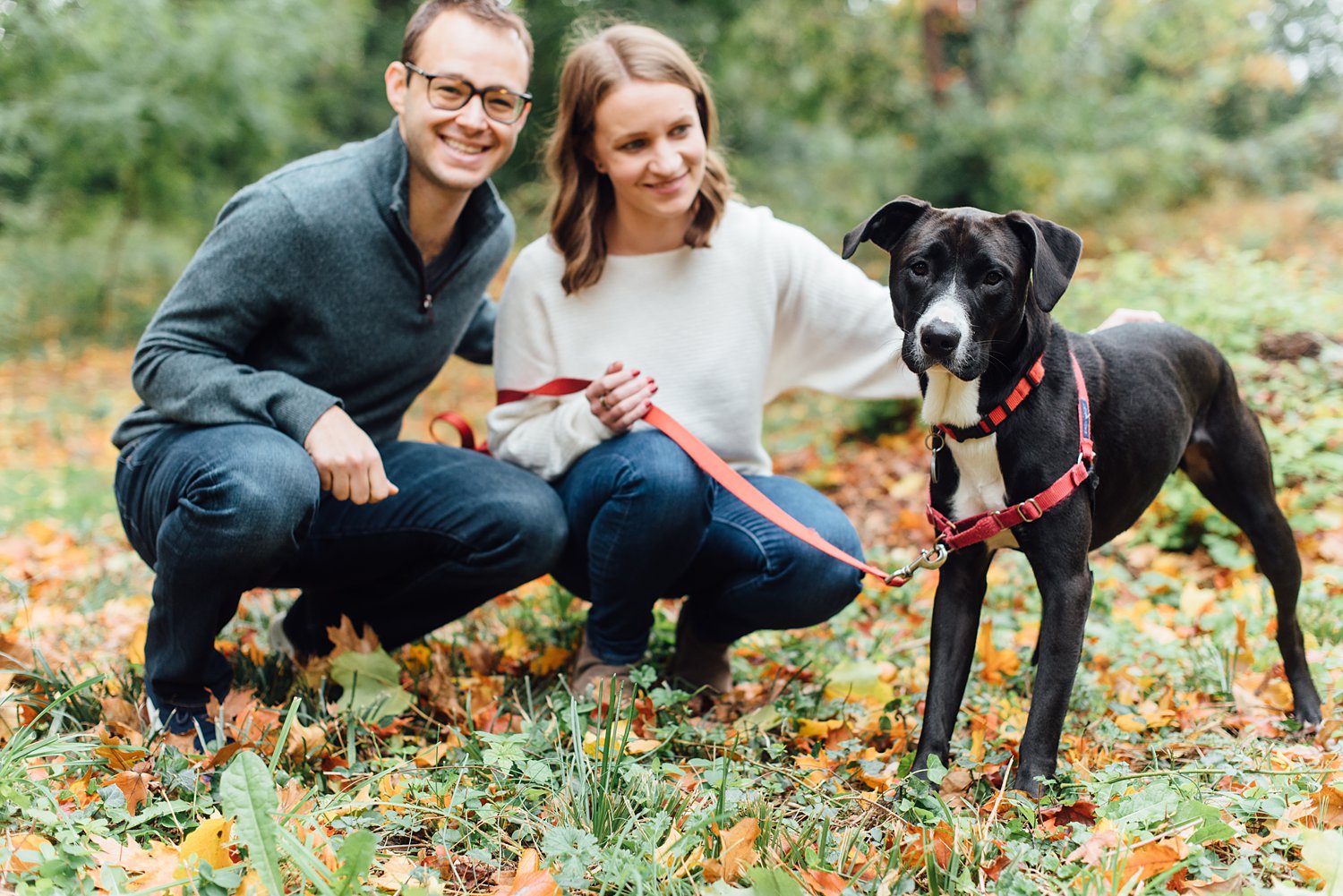 Fall Mini-Sessions - Rockville Maryland Anniversary Photographer - Alison Dunn Photography photo