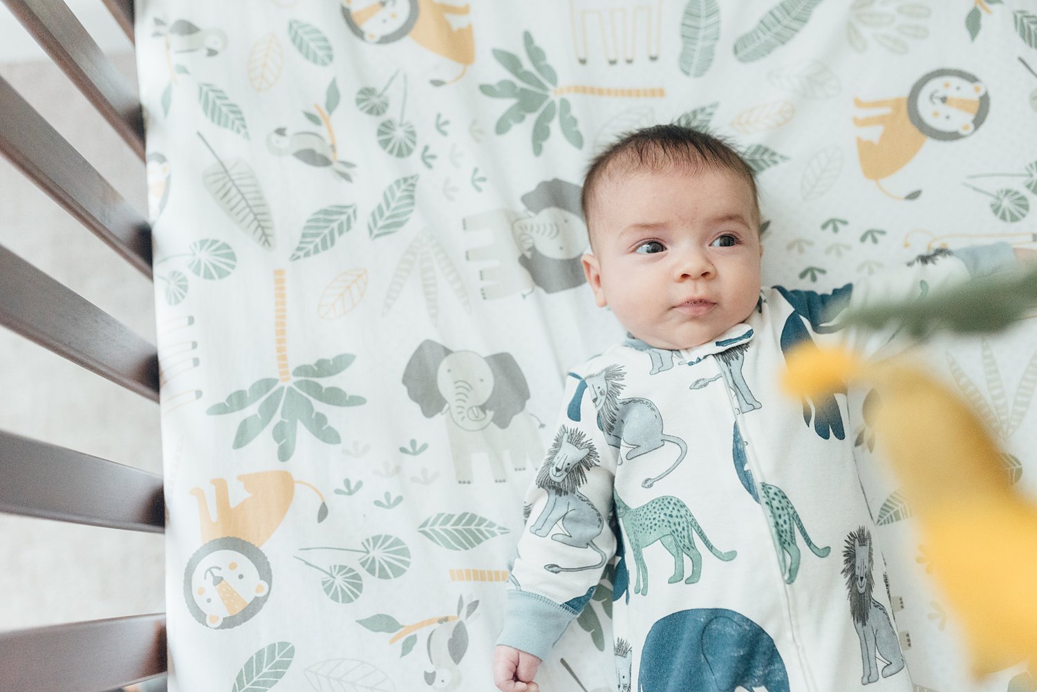 The Martinez Family - Collingswood New Jersey family session - Maryland family photographer - Alison Dunn Photography photo