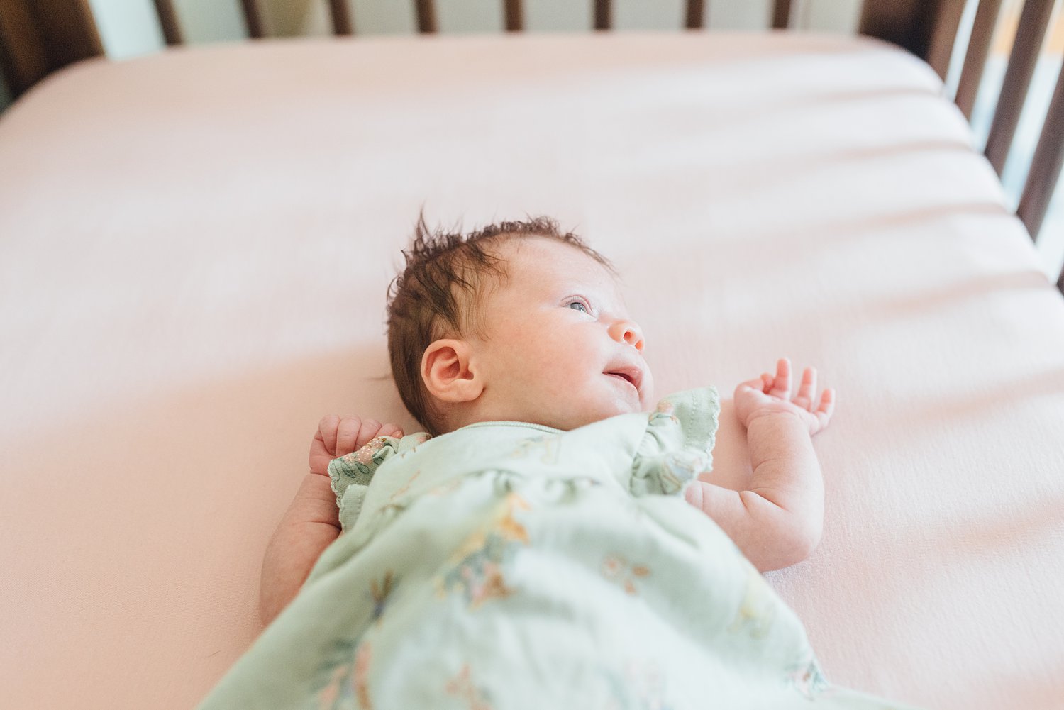 Silver Spring Newborn Session - Montgomery County Maryland Lifestyle Family Photographer - Alison Dunn Photography photo