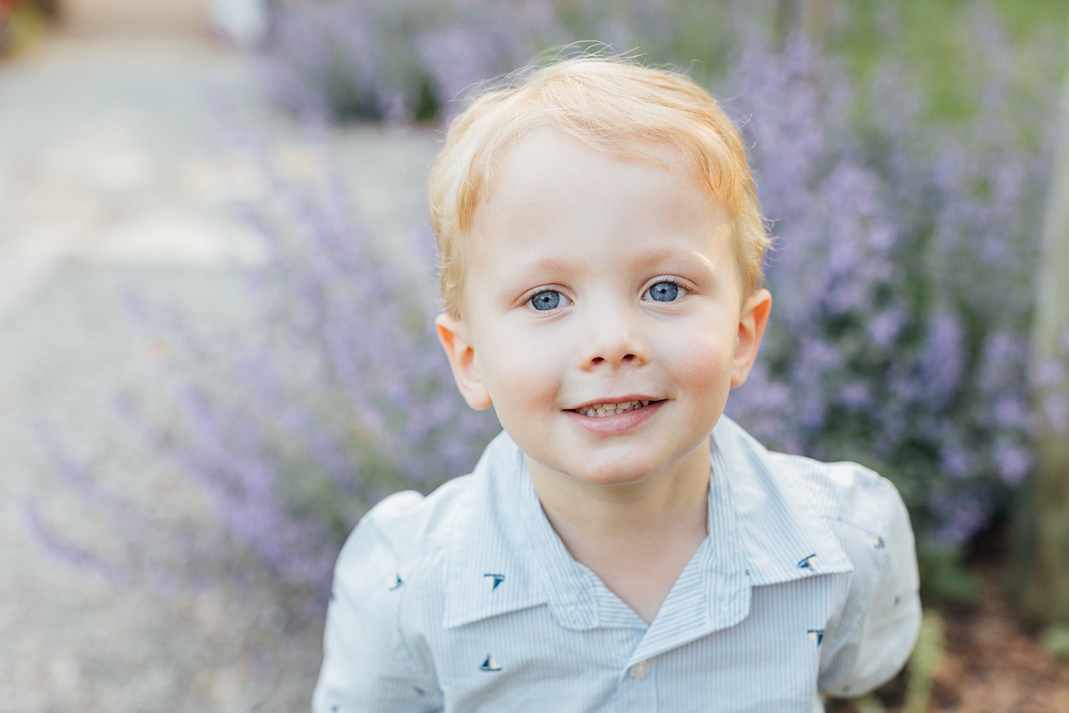 Taproot Greenhouse Mini-Sessions - West Chester Family Photographer - Alison Dunn Photography photo