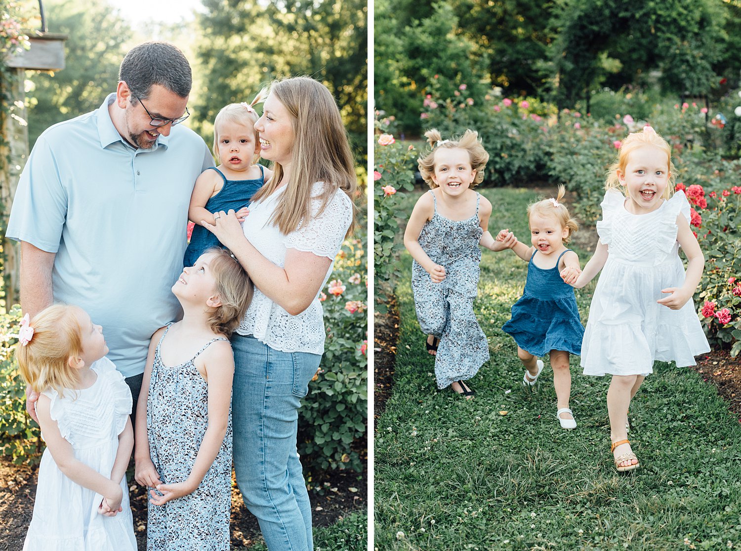 Bon Air Park Rose Garden Summer Mini Sessions - Arlington Virginia Family Photographer - Alison Dunn Photography photo