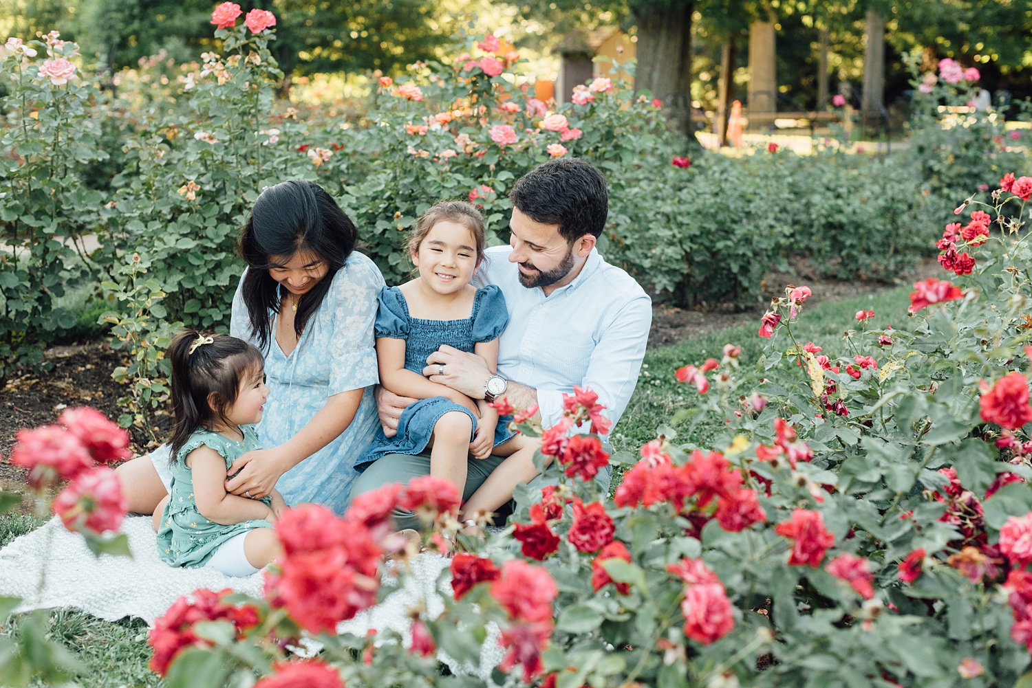 Bon Air Park Rose Garden Summer Mini Sessions - Arlington Virginia Family Photographer - Alison Dunn Photography photo