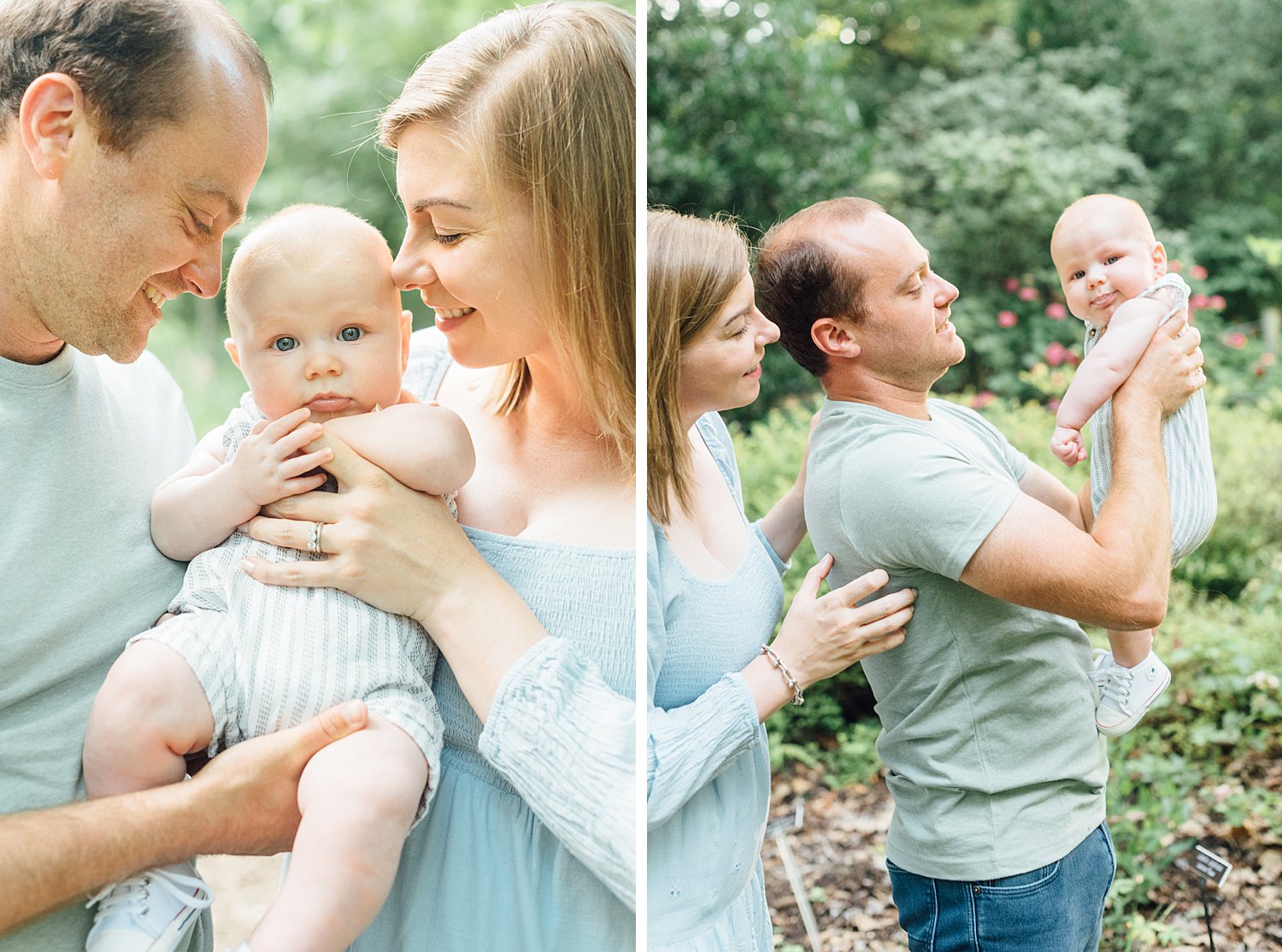 Brookside Gardens Mini Sessions - Montgomery County Maryland Family Photographer - Alison Dunn Photography photo