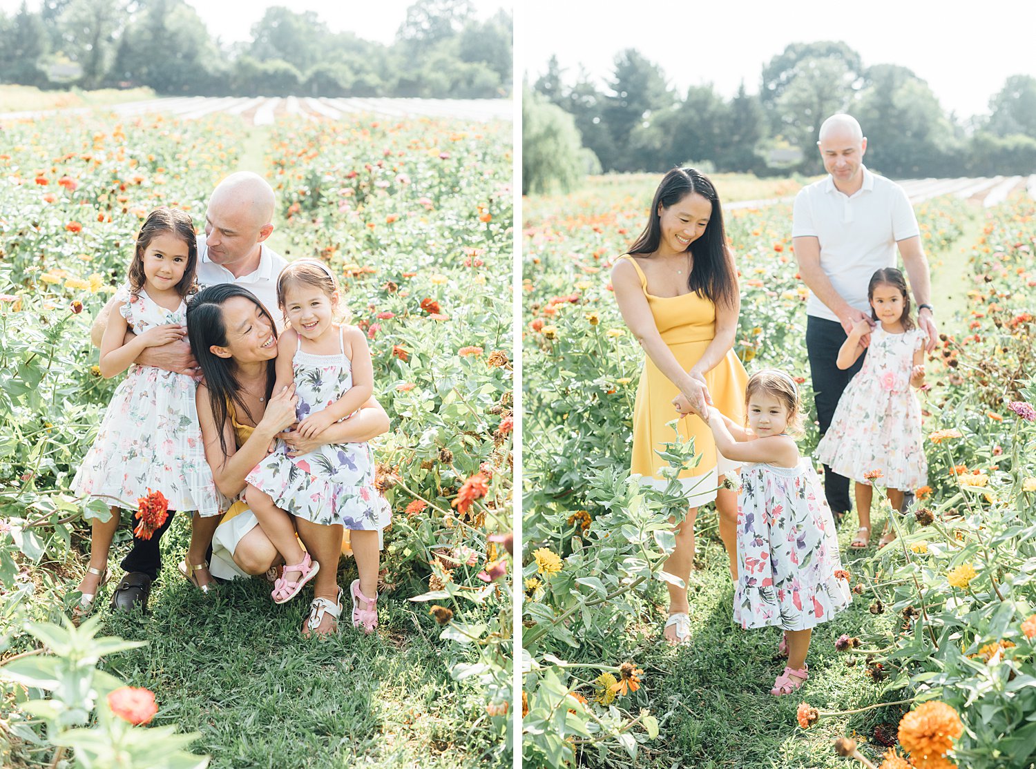 Maple Acres Mini Sessions - Montgomery County family photographer - Alison Dunn Photography photo