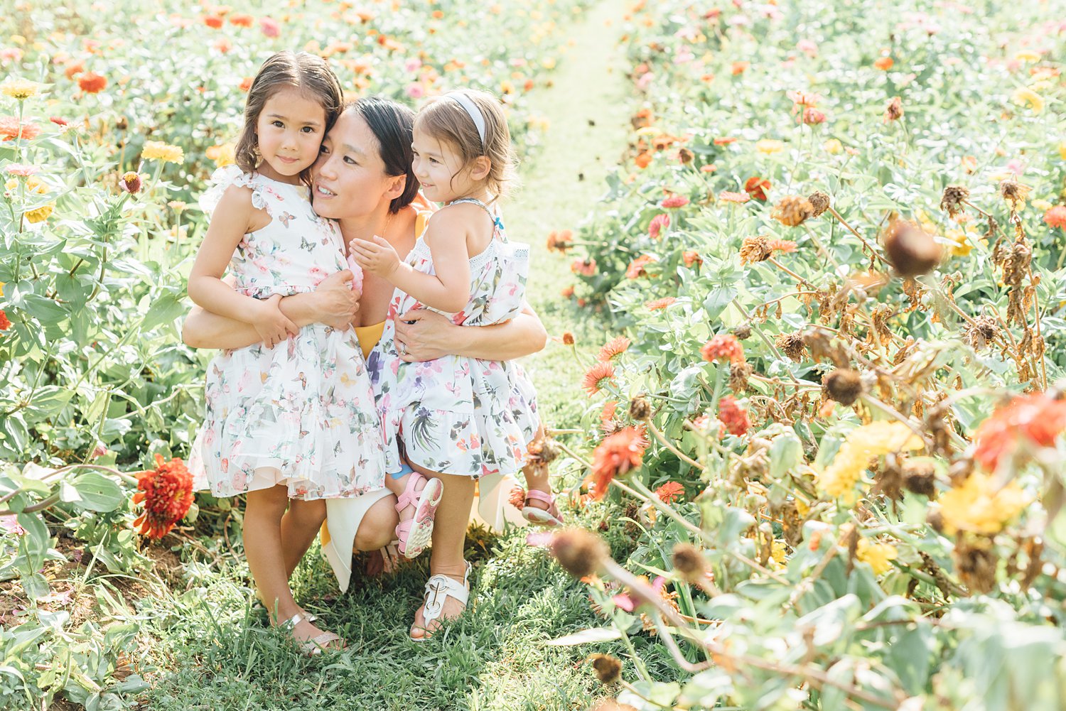 Maple Acres Mini Sessions - Montgomery County family photographer - Alison Dunn Photography photo