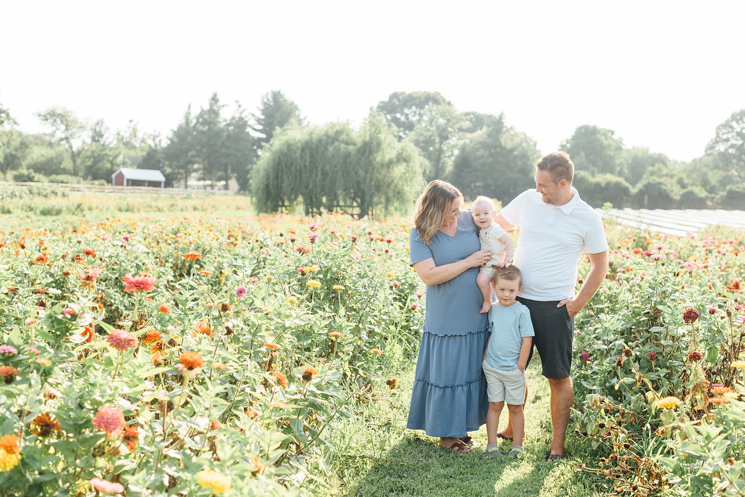 Maple Acres Mini Sessions - Montgomery County family photographer - Alison Dunn Photography photo