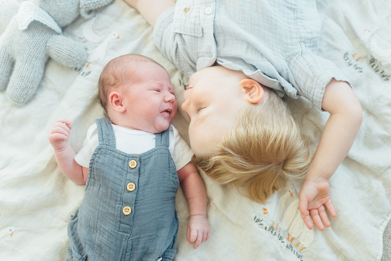 The Campbells - Olney Newborn Session - Montgomery County Maryland Family Photographer - Alison Dunn Photography photo